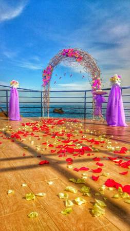 свадьба в Крыму у самого моря